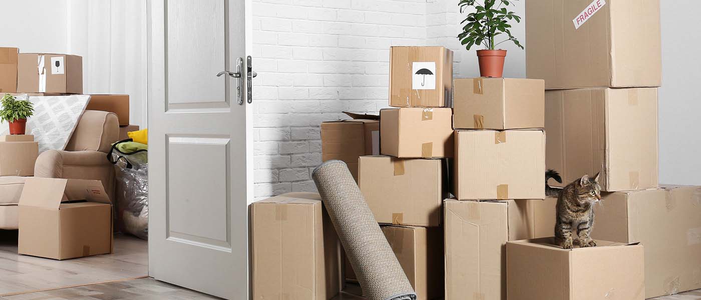 House Shifting Services in Navi Mumbai